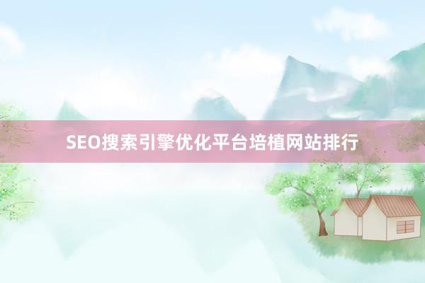 SEO搜索引擎优化平台培植网站排行