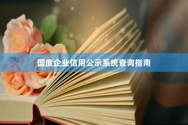 国度企业信用公示系统查询指南