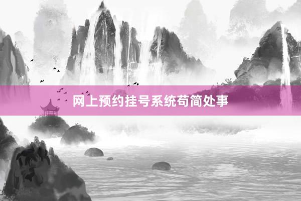网上预约挂号系统苟简处事